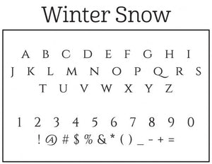Winter Snow Return Address Stamp – PSA Essentials